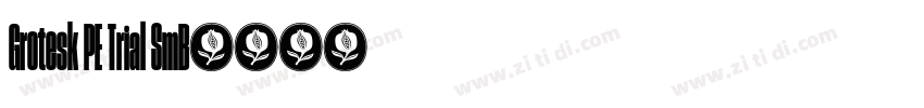 Grotesk PE Trial SmB字体转换